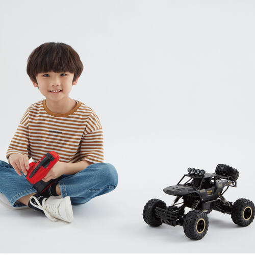 Speed City Radio Controlled Big Wheel Crawler